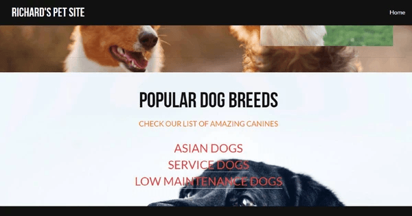 siti web per cani siti web per cani